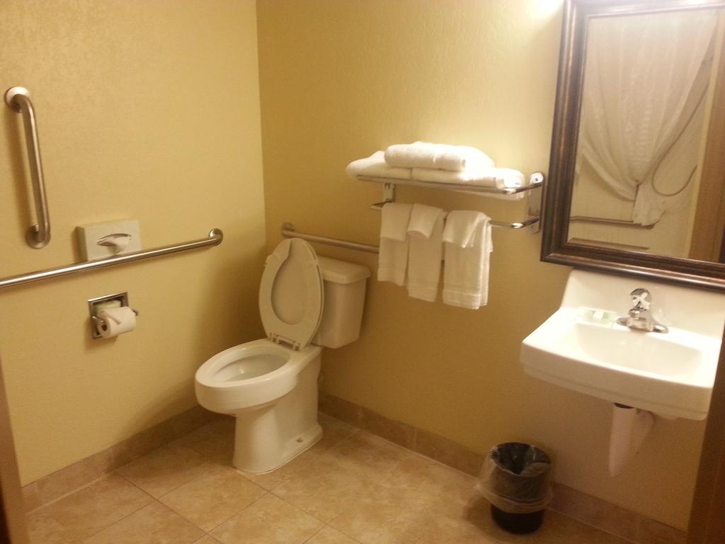 Quality Inn & Suites Saginaw Zimmer foto