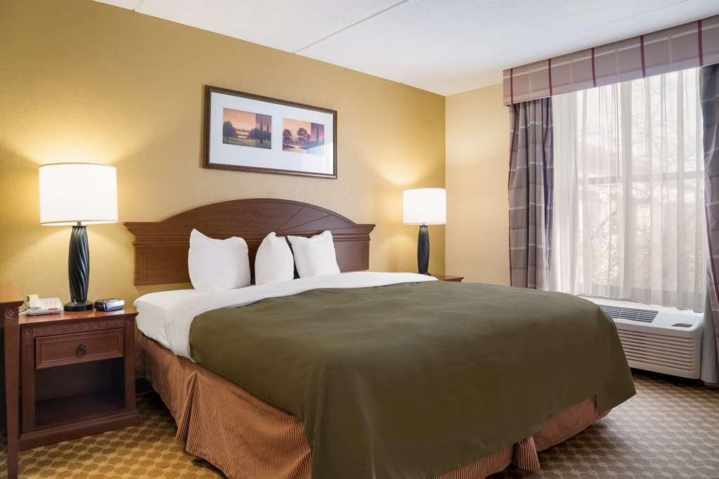 Quality Inn & Suites Saginaw Zimmer foto