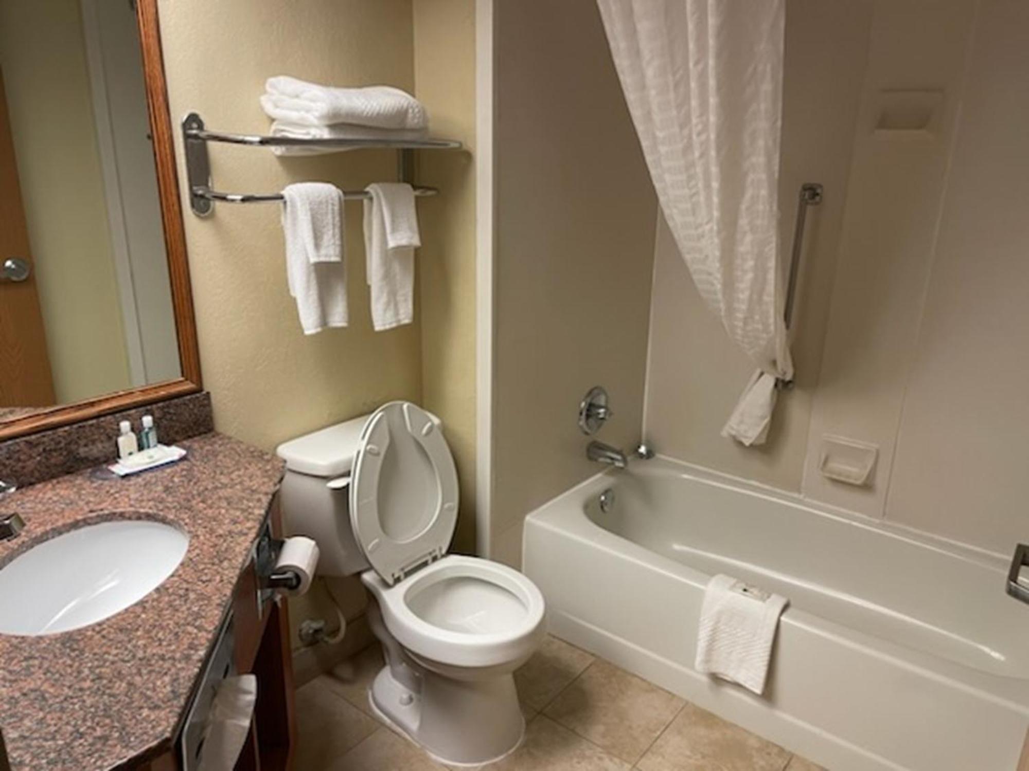 Quality Inn & Suites Saginaw Exterior foto